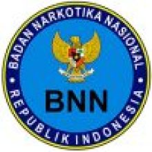 Badan Narkotika Nasional BNN - Mitra layanan internet instansi